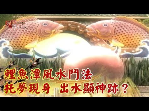 鯉魚風水|鯉魚池擺放：風水師指點